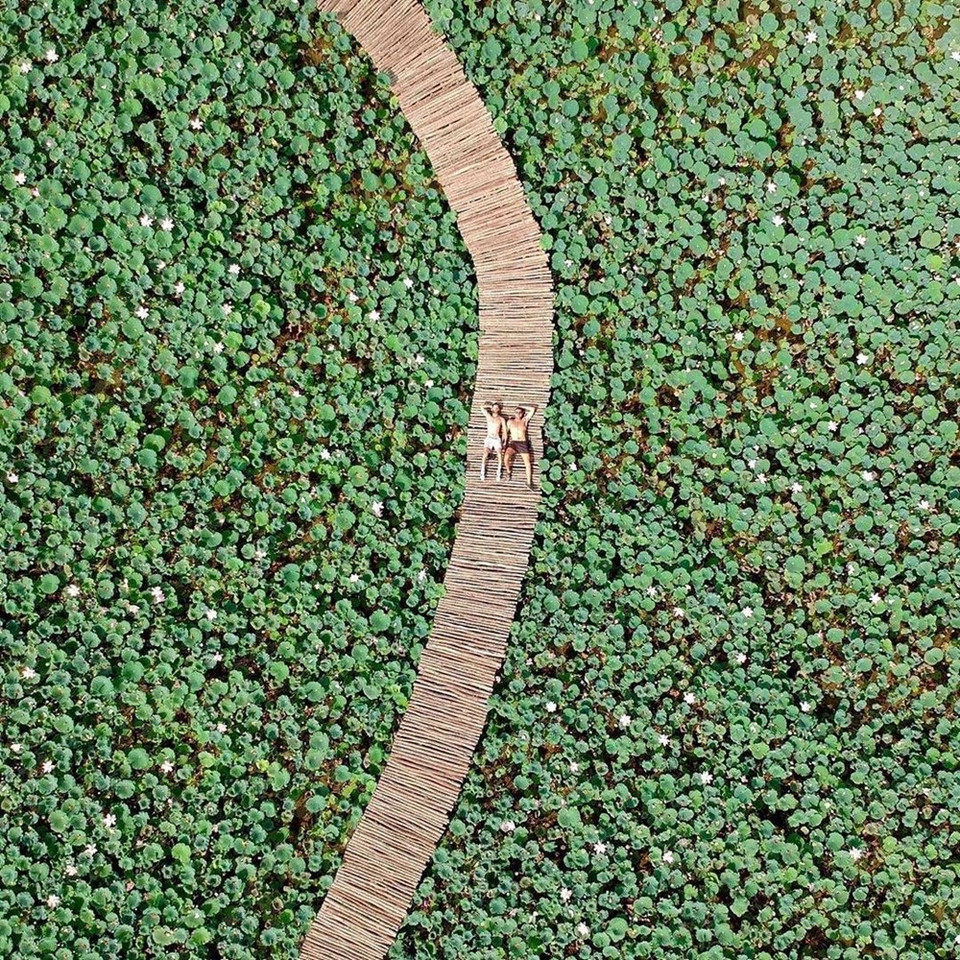 El camino de madera es como una suave cinta de seda. (Foto: Vietnam +)
