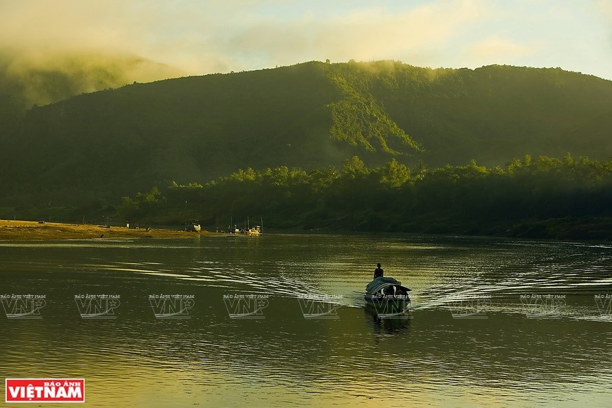 La reserva natural Ngoc Linh tiene más de mil especies de plantas, incluidas 40 variedades registradas en el Libro Rojo de Vietnam y 25 nombradas en el Libro Rojo del mundo (Foto: VNA)
