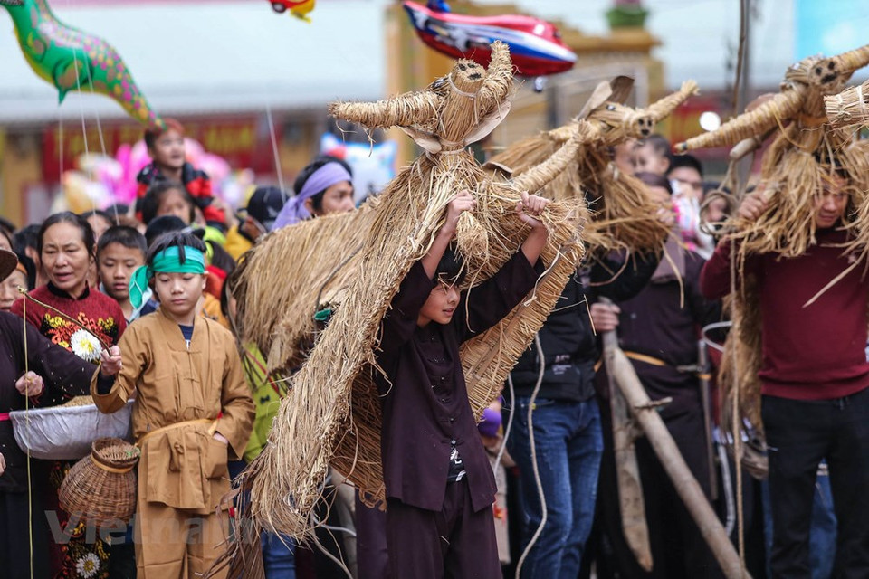 Lo más atractivo es la fiesta es la danza de los búfalos trenzados con la paja de arroz. (Foto: Vietnam +)
