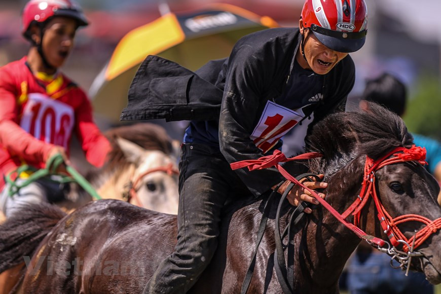 Por su vinculación y amor al caballo, los Mong practican un deporte audaz que es la carrera de caballos. En la fiesta “Colores primaverales en todas las regiones de la Patria” celebrada recientemente en Dong Mo, Son Tay, Hanoi, los jinetes Mong del distrito de Bac Ha, provincia norteña de Lao Cai, asombraron a los visitantes tanto nacionales como extranjeros. Después de la orden de partida del árbitro, los domadores de corceles corrieron velozmente entre vítores de los espectadores. Los espectadores disfrutan de la competencia donde los jinetes demostraron su capacidad y talento para montar a caballo sin sillas de montar o correas (Foto: Vietnam +)