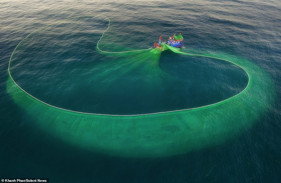 Las redes de pesca irradian hermosas y fascinantes formas antes de ser arrastradas de regreso al bote. (Foto: DailyMail)