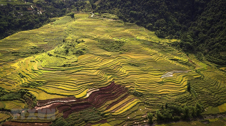 Se espera que los campos en terrazas de la etnia Muong, en la comuna de Thach Yen, sean un sitio de ecoturismo para atraer turistas. (Foto: VNA)