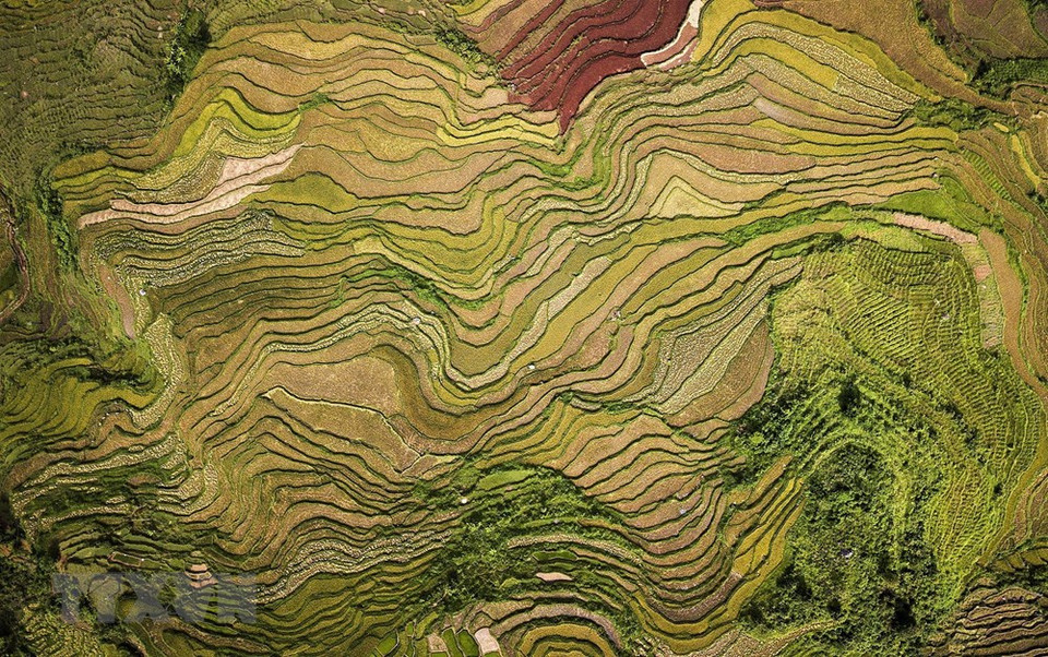 La vista desde arriba de los campos en terrazas en la comuna de Thach Yen (Foto: VNA)