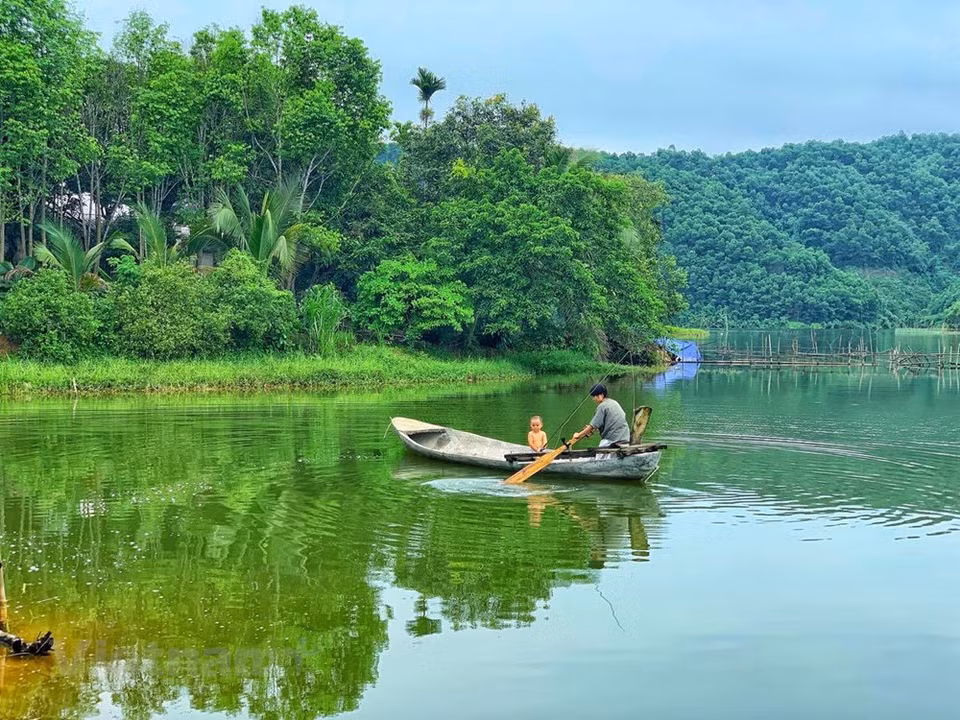 En realidad, la laguna de Van Hoi es una presa construida desde hace medio siglo para satisfacer las necesidades de riego agrícola en los distritos de Ha Hoa y Tran Yen. La laguna de 410 ha, posee un majestuoso paisaje montañoso, hogar de cientos de especies de aves, además de una exuberante vegetación verde. Al visitar este destino turístico se puede admirar también grandes arroyos como Linh, Van, Ha, Chanh, que suministran agua a los bosques primitivos en los alrededores de la laguna con 40 islas grandes y pequeñas. Hay una gran cantidad de peces y tortugas grandes, varias de hasta decenas de kilógramos. (Foto: Vietnam +)