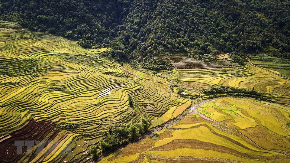 Se espera que los campos en terrazas de la etnia Muong, en la comuna de Thach Yen, sean un sitio de ecoturismo para atraer turistas. (Foto: VNA)