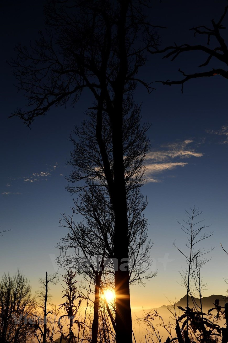 Amanecer tardío a través de toldos en la cordillera Hoang Lien Son. Los visitantes disfrutarán del ambiente tranquilo en Fansipan en Sapa, que cuenta con un área espiritual y cultural que cuenta con la pagoda Kim Son Bao Thang y una estatua gigante de Buda Amitabha, la estatua de bronce más grande de Buda en Vietnam. La estatua de 21,5 m de altura está formada por decenas de miles de barras planas de bronce de 5 mm. El sonido de la campana de pagoda da a los visitantes una sensación calmante. En la cima de Fansipan, donde se construye un monumento para marcar el punto más alto del techo de Indochina, los visitantes se sienten como si estuvieran flotando en un mar de nubes blancas. (Foto: Vietnam+)