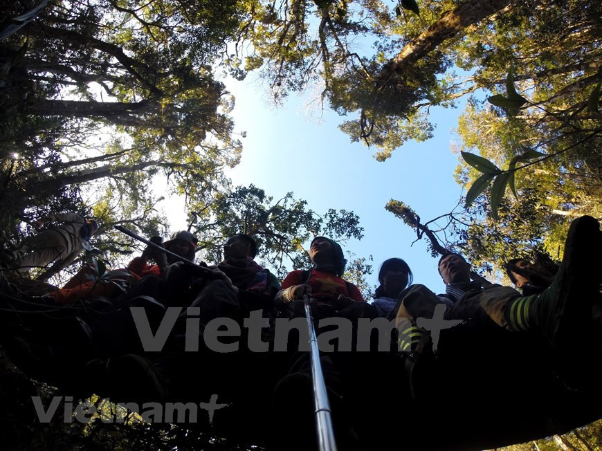 Trekking en los picos para ver el amanecer es un pasatiempo de muchos jóvenes en la cordillera Hoang Lien Son. El Parque Nacional de Hoang Lien se encuentra a una altura de mil a tres mil metros sobre el nivel del mar en la cordillera Hoang Lien Son, en la norteña provincia vietnamita de Lao Cai. Gracias a un ecosistema de alta montaña tropical y una fauna y flora diversa, es el hogar de numerosas especies raras y hábitats endémicos. El Parque en un destino fascinante para los aficionados al turismo de naturaleza, en especial los que practican la observación de aves. Se estima que existen 347 especies de aves en este lugar, muchas de ellas bendecidas por la Naturaleza con los más increíbles y coloridos plumajes que muy pocas personas tienen oportunidad de atestiguar. (Foto: Vietnam+)
