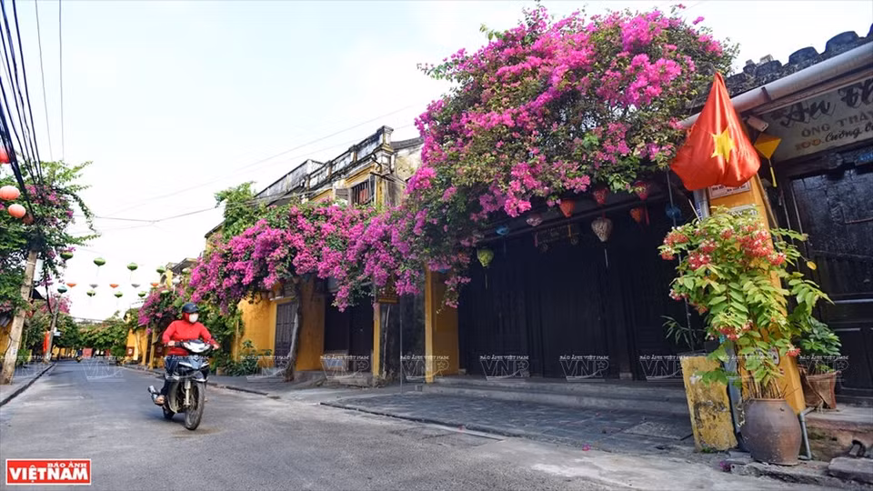 Una calle tranquila junto al río Hoai (Foto: VNA)