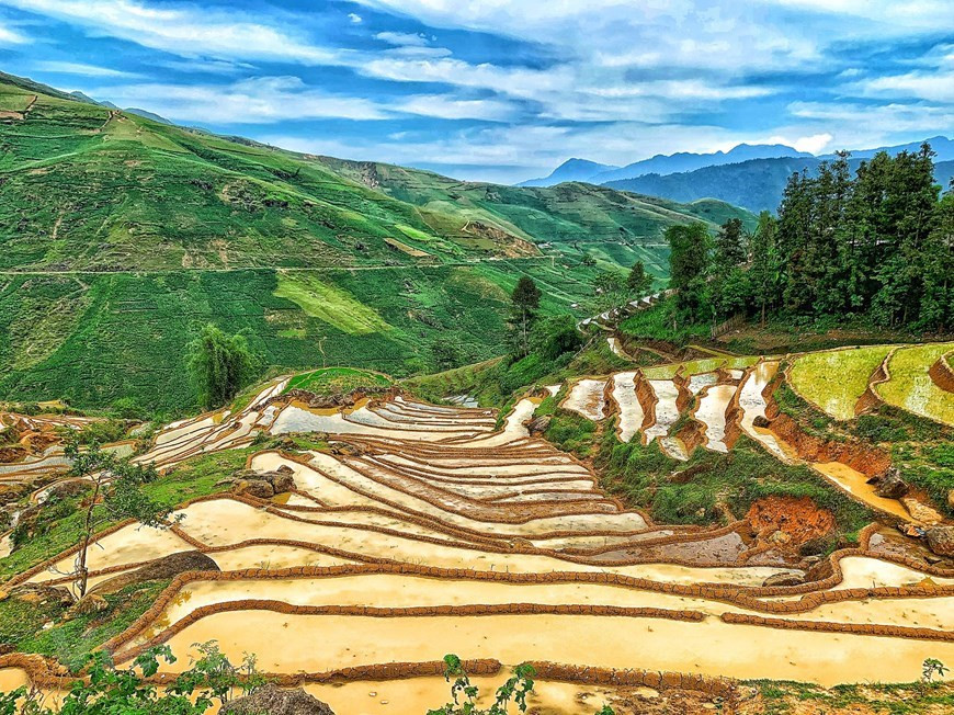 Comuna Y Ty, el distrito de Bat Xat, en la provincia septentrional de Lao Cai, está a unos 70 km de la ciudad de Lao Cai. Y Ty atrae a turistas por las nubes, las montañas y las terrazas arrozales. En la actualidad, la infraestructura de tráfico a Y Ty se ha mejorado, lo que facilita el desarrollo del turismo. Sin embargo, esa tierra todavía parece estar aislada. Con una altura promedio de más de dos mil metros sobre el nivel del mar, al llegar a Y Ty, los visitantes pueden admirar la vasta y seductora perspectiva de los arrozales en terrazas. (Foto: Vietnam+)