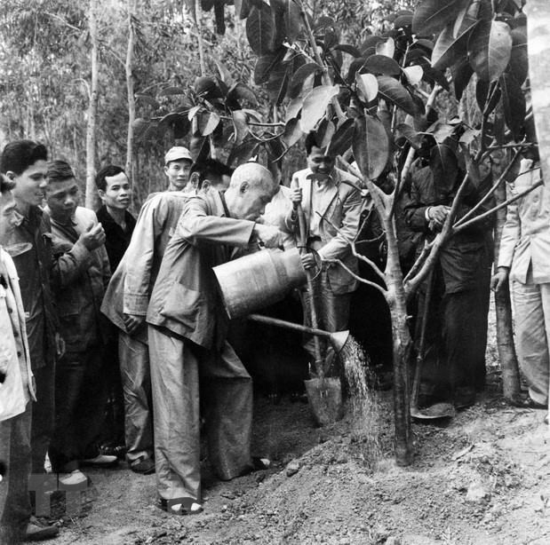 El Presidente Ho Chi Minh participó en la Fiesta de Plantación en el Nuevo Año Lunar en 1969. (Foto: VNA)
