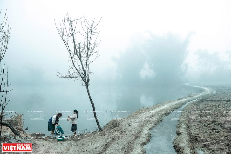 “Bình yên Phố Cáo” (Paz en Pho Cao) - Autor: Doan Thi Tho (Fuente: VNP)