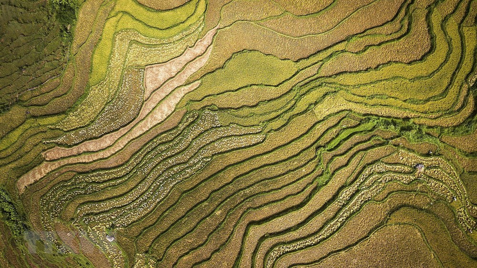 La vista desde arriba de los campos en terrazas en la comuna de Thach Yen (Foto: VNA)