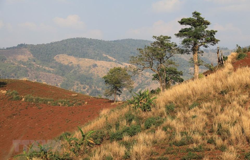 La majestuosa belleza de las montas de Gia Lai (Foto: VNA)