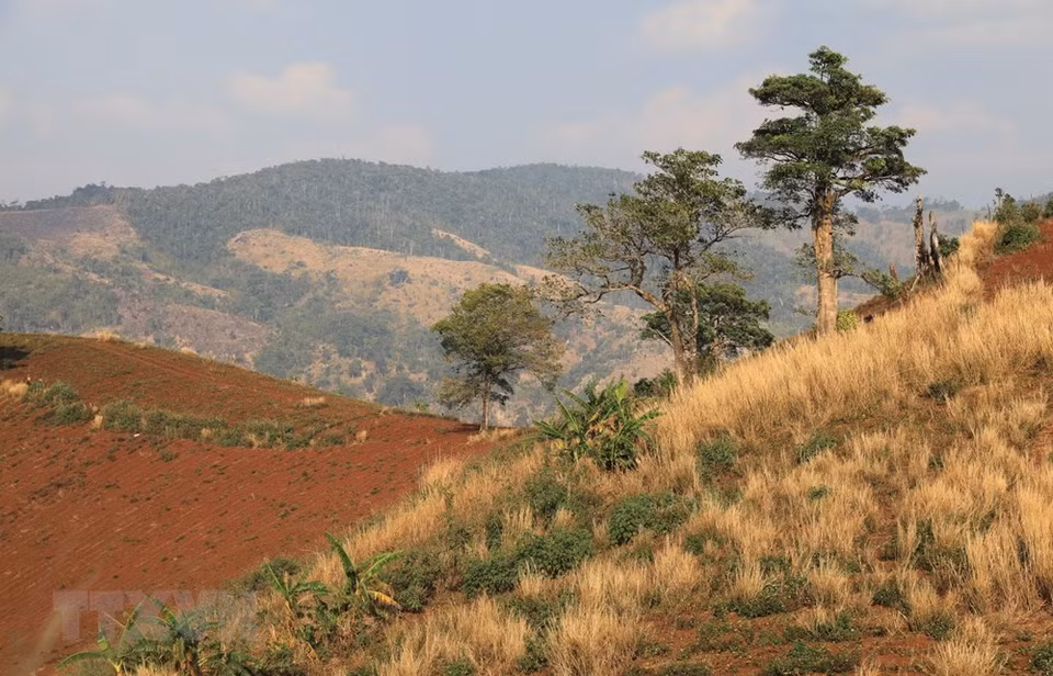 La majestuosa belleza de las montas de Gia Lai (Foto: VNA)