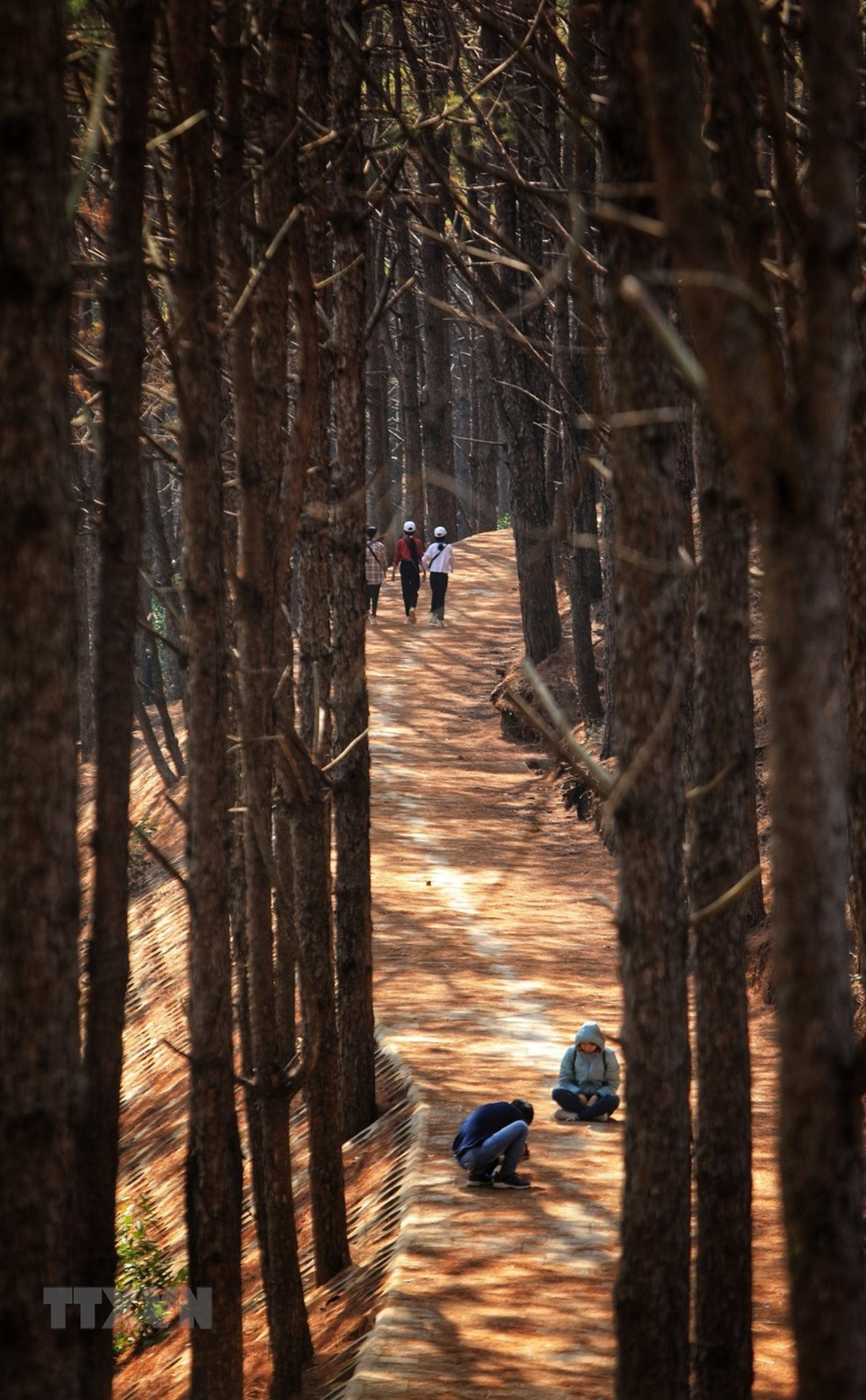 La cultura gong, patrimonio de las etnias minoritarias de Gia Lai. (Foto: VNA)