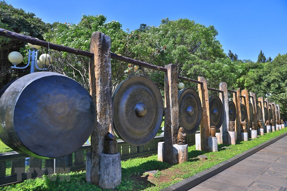 Bosque de pinos en el área del lago Bien Ho (Foto: VNA)