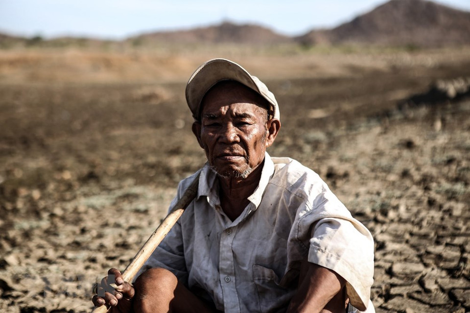Un agricultor en una zona afectada por la sequía en Ninh Thuan se preocupa por su vida debido al impacto de la sequía prolongada. (Foto: VNA)