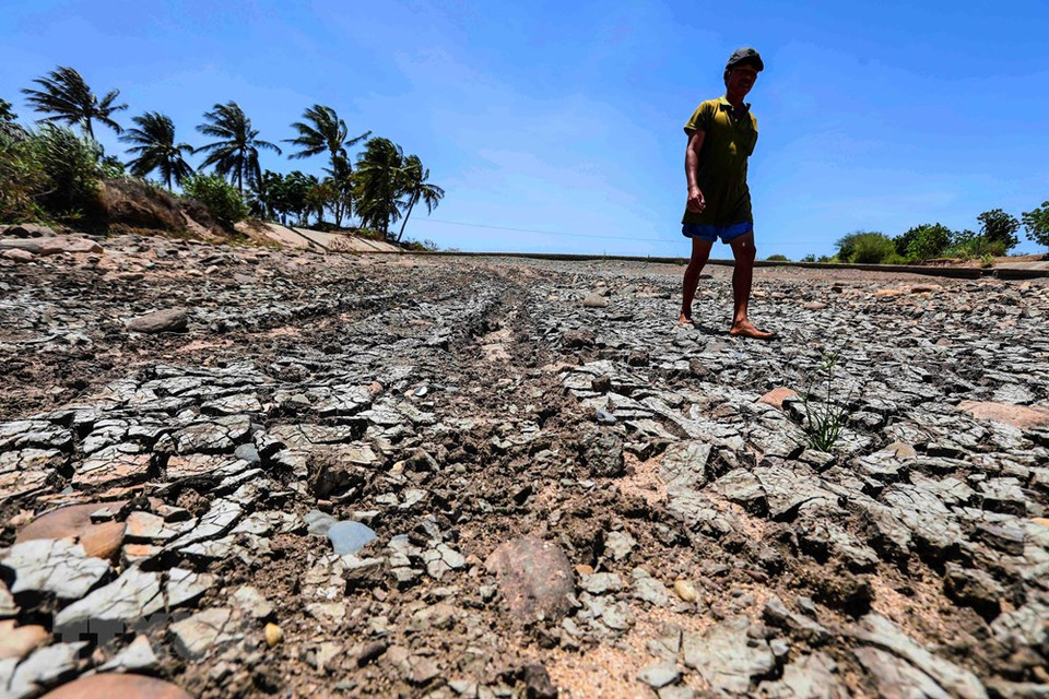 El río Lu, distrito de Thuan Nam, se han secado debido a la sequía prolongada. (Foto: VNA)