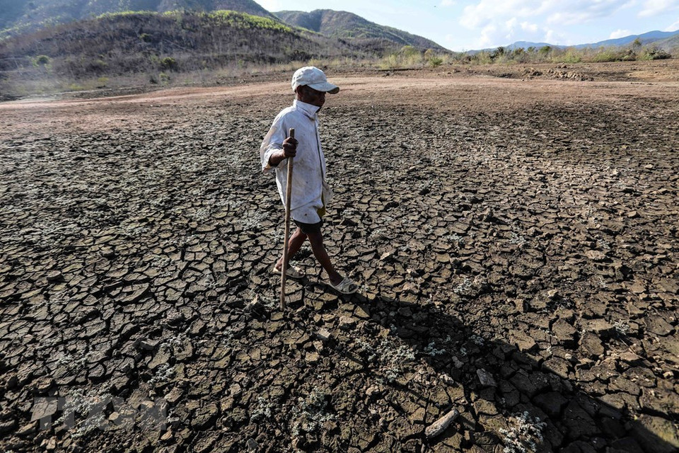 Un agricultor en la región de sequía de Ninh Thuan (Foto: VNA)