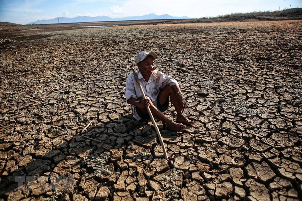 Un agricultor en una zona afectada por la sequía en Ninh Thuan se preocupa por su vida debido al impacto de la sequía prolongada. (Foto: VNA)