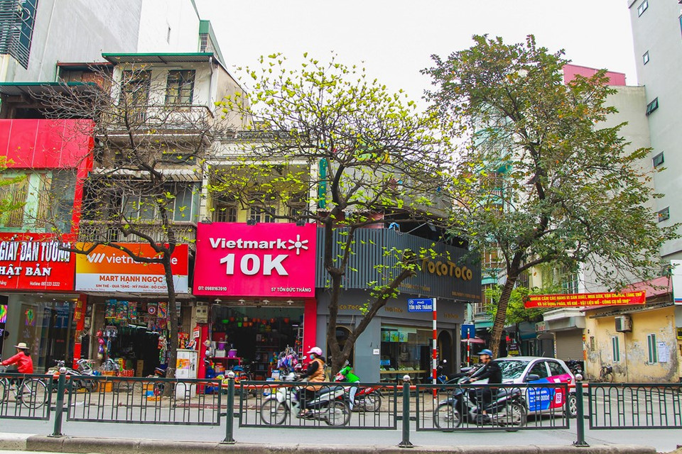 Colores de Hanoi en la primavera. (Foto: VNA)