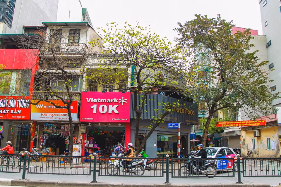 Colores de Hanoi en la primavera. (Foto: VNA)