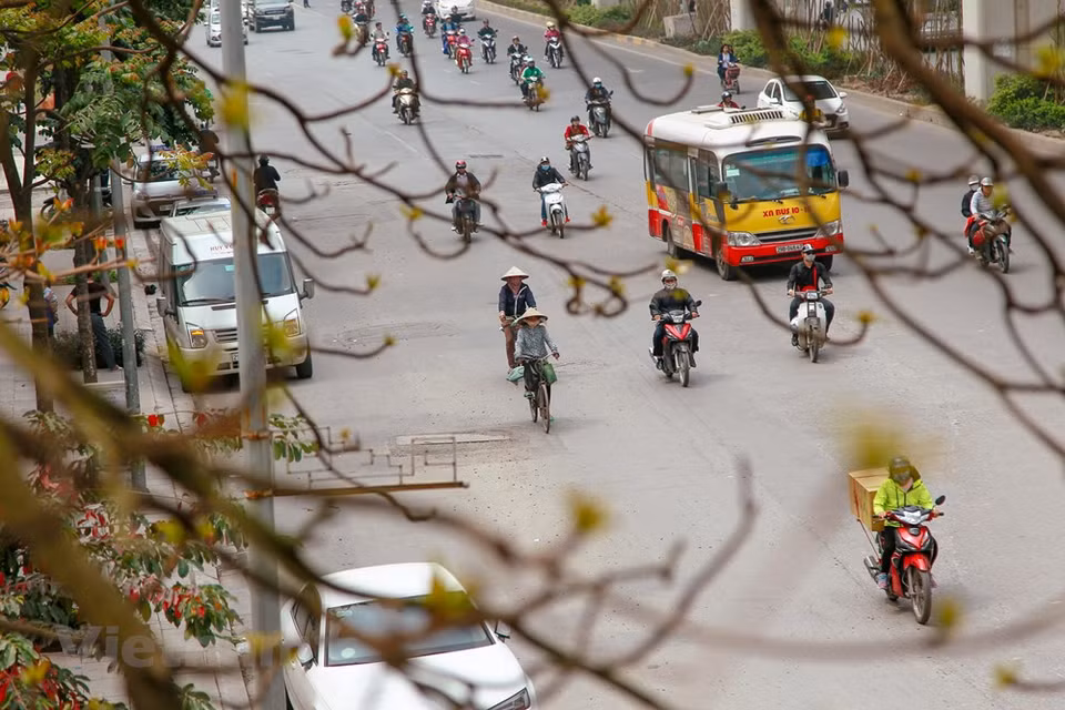Colores de Hanoi en la primavera. (Foto: VNA)