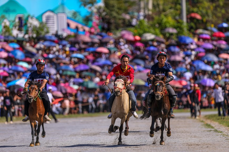  La carrera de caballos de Bac Ha es un deporte tradicional de esta localidad en el cual los competidores montan a este animal sin silla ni estribos y fustas. La actividad contribuye a demostrar la valentía de los muchachos de las zonas montañosas y promover la imagen turística de Bac Ha pletórica de identidad local a los amigos nacionales y extranjeros. Es una característica única en la vida cultural y espiritual de la población local. En el pasado, las carreras de caballos se celebraban después de un duro día de recolección de maíz, arroz y yuca. Los hombres se reunían a ver quién tenía el caballo más veloz, además de mostrar su destreza física. Los jinetes son agricultores de los grupos étnicos de Mong, Tay y Nung (Foto: Vietnam +)