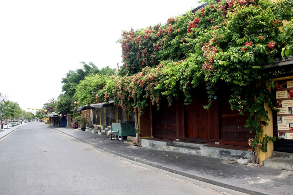 Sin embargo, gracias a la gran conciencia de la gente, desde la mañana del 30 de julio, casi todas las actividades sociales en Hoi An parecían detenerse por completo. Las calles estaban tranquilas y las tiendas se cierran. (Foto: VNA)