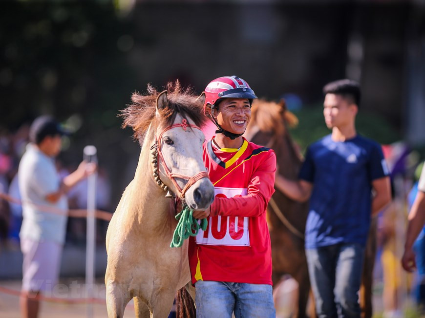 La tradicional carrera de caballos de Bac Ha en 2020, que se llevó a cabo los días 30 y 31 de mayo, fue muy emocionante, con una competencia feroz. El festival, que tuvo lugar justo en la temporada de cosecha de ciruelas, impulsará el consumo directo de esta fruta de los residentes de Bac Ha, aparte de promover el desarrollo de la industria sin humo de la localidad. Cuando la fiesta se inicia, los competidores, con sombreros plásticos, marchan hacia el hipódromo. Compiten en la forma tradicional, sin silla de montar. El caballo está cubierto con un paño de lino rectangular y un manto tejido. Dos crampones se adjuntan a la brida cerca de la boca de la bestia. Los jinetes son expertos en el control de sus caballos con las manos, en lugar de utilizar un látigo. Esta es la primera vez que una jinete femenina asiste a la carrera desde que se organizó la primera competencia en 2007 (Foto: Vietnam +)