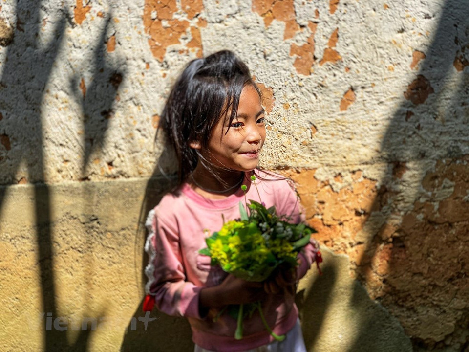 Los niños viven felices en medio de las nubes y la montaña. (Foto: Vietnam +)