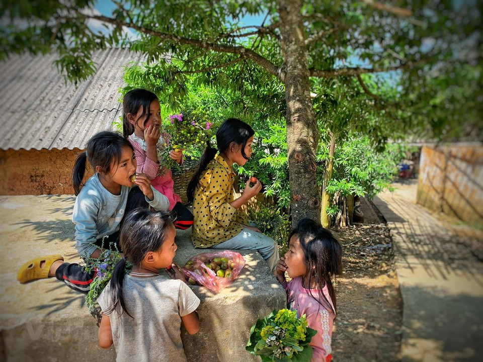 ... y disfruta del regalo de los turistas. (Foto: Vietnam +)