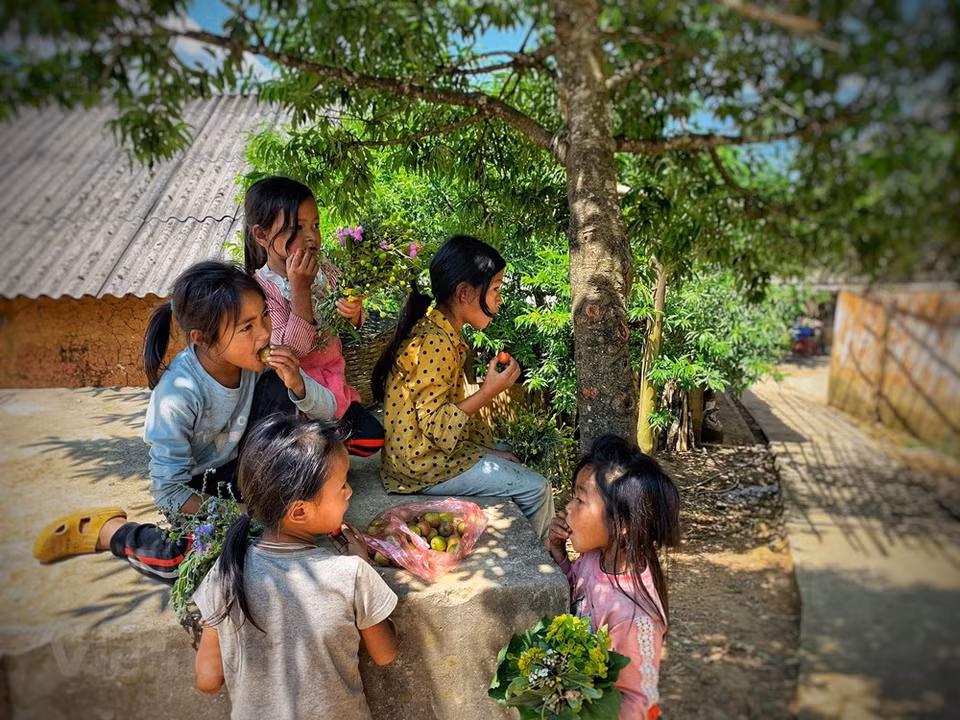 ... y disfruta del regalo de los turistas. (Foto: Vietnam +)