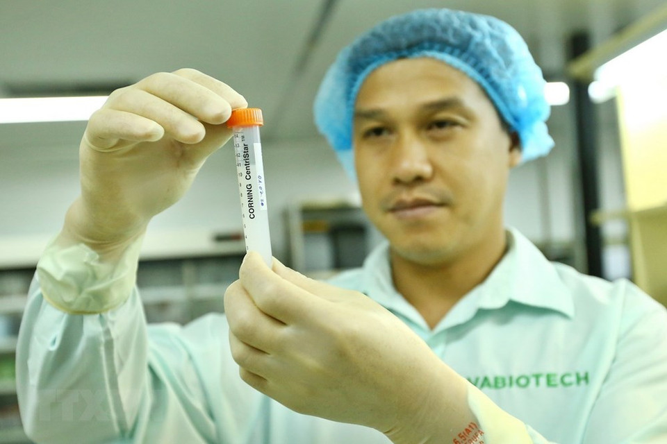 Producto semiacabado de una vacuna después del proceso de investigación y preparación antes de ser probado en animales. (Foto: VNA)