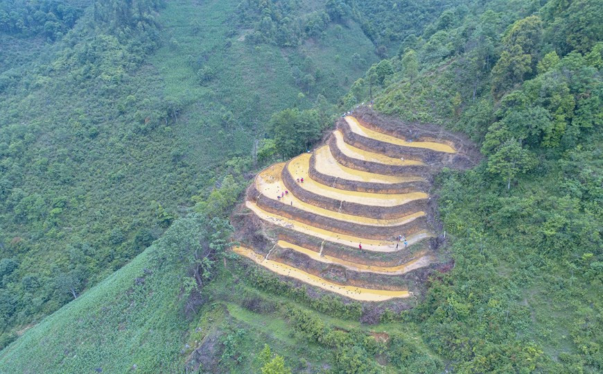 La naturaleza en Bac Ha tiene las características típicas de la región montañosa del noroeste con altas montañas, caminos escarpados y salpicados de campos en terrazas de los pobladores de las minorías étnicas. Especialmente, en cualquier tiempo del año, las terrazas de arroz poseen una belleza específica. De abril a mayo, en temporada de riego, la superficie de terrazas parece un espejo que refleja los colores brillantes de la naturaleza. Bajo la luz del sol, las terrazas de arroz se ven como interminables tramos de escaleras ascendientes al cielo. En junio y julio, el color del arroz en combinación con el de las plantas y hierbas tiñen los bancales de arroz para crear una alfombra de verde infinito. (Foto: Vietnam+)