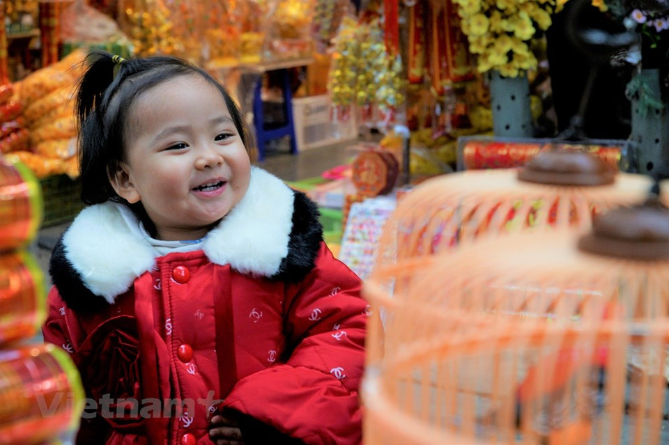 La calle Hang Ma ha sido durante mucho tiempo un lugar para vender muchos tipos de artículos de decoración típica del Nuevo Año Lunar. (Foto: Vietnam +)