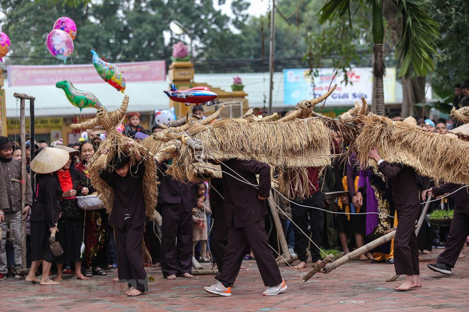 La fiesta demuestra el deseo de los campesinos en tener una abundante cosecha para el año. (Foto: Vietnam +)