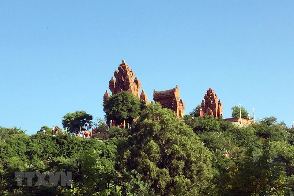 Desarrollo de viticultura en Ninh Thuan (Foto: VNA)