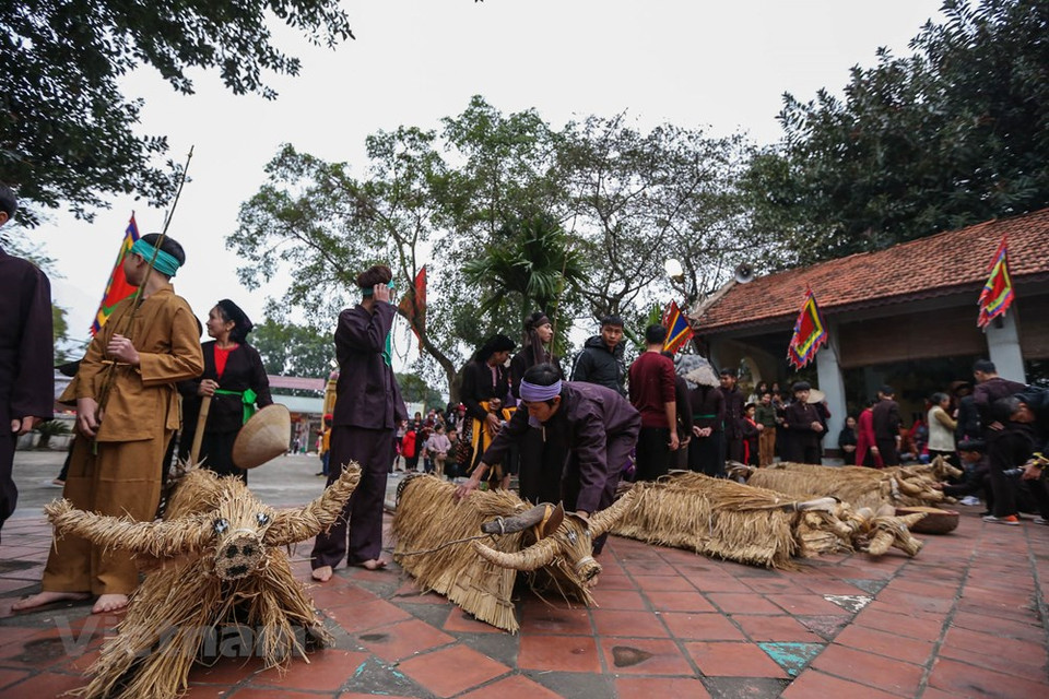 Se trata de una actividad festiva de larga tradición en ambas aldeas de Bich Dai y Dong Ve, cuyos pobladores comparten la casa comunal. (Foto: Vietnam +)