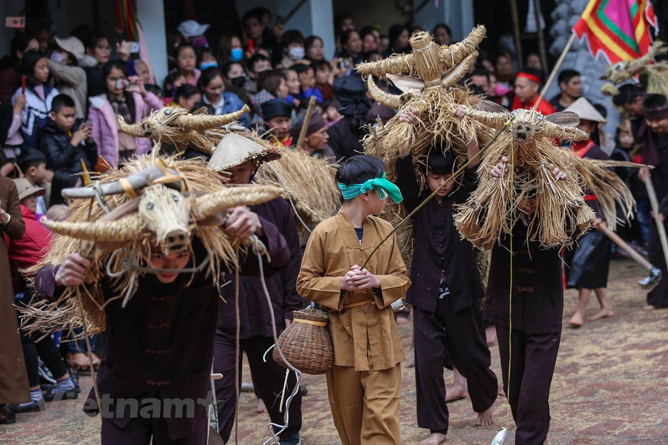 La fiesta demuestra el deseo de los campesinos en tener una abundante cosecha para el año. (Foto: Vietnam +)