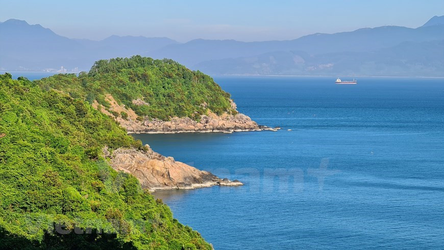 Con una extensión de más de cuatro mil 400 ha, el bosque de Son Tra alberga cientos de especies de animales, incluido el douc langur rojo (Foto: VietnamPlus)