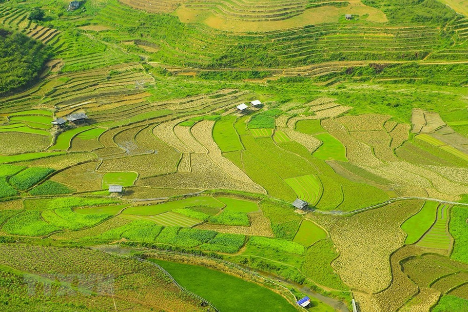 Terrazas de arroz se extendían por las montañas (Foto: VNA)