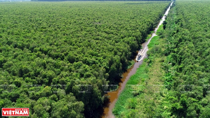 El parque nacional U Minh Thuong, en la provincia de Kien Giang, es un atractivo destino turístico (Foto: VNA)