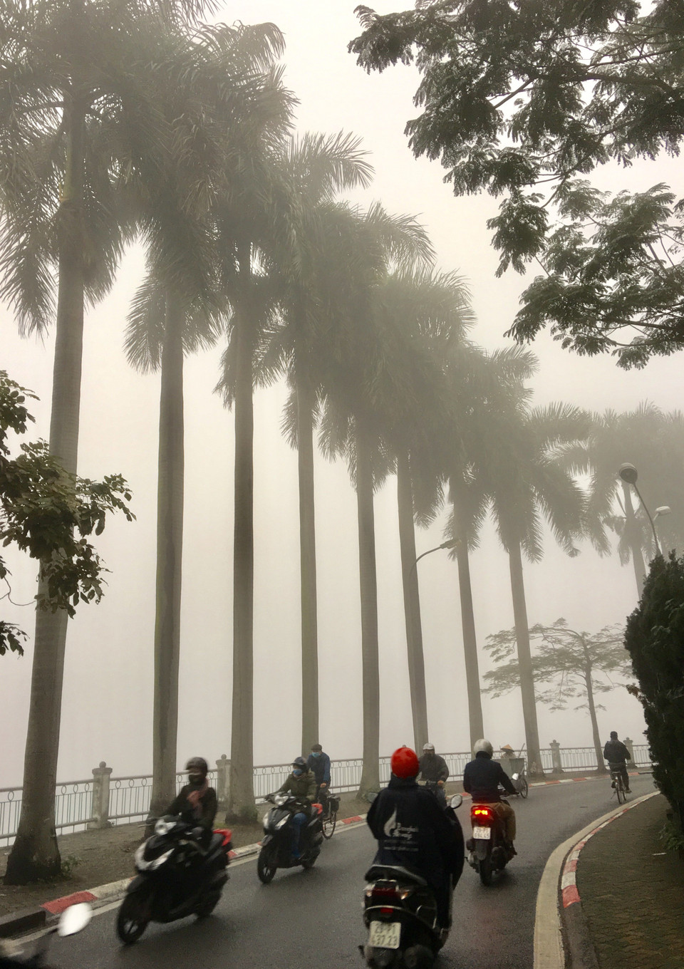 Hanoi amanece hoy con muchas nieblas, lo que dificulta la circulación de los tráficos. (Foto: VNA)
