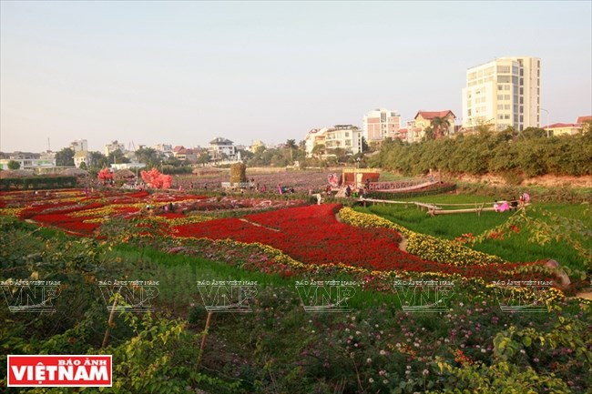 El área se embellece con varios tipos de flores (Fuente: VNA)