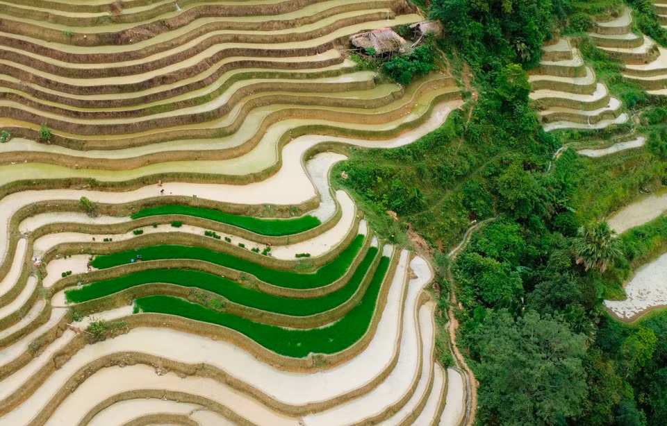 Las terrazas de arroz son como espejos que reflejan la tierra y el cielo. (Fuente:VNA)