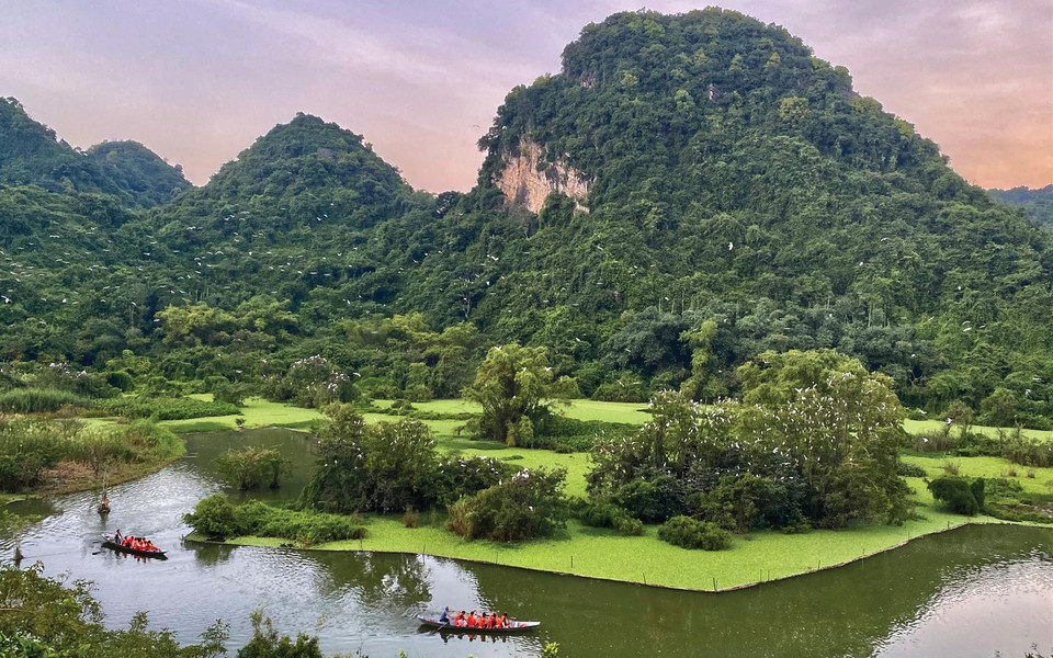 Thung Nham es conocido como el "hogar" ideal de diversas especies de aves residentes en el delta del Norte y de aves migratorias estacionales. (Fuente:VNA)
