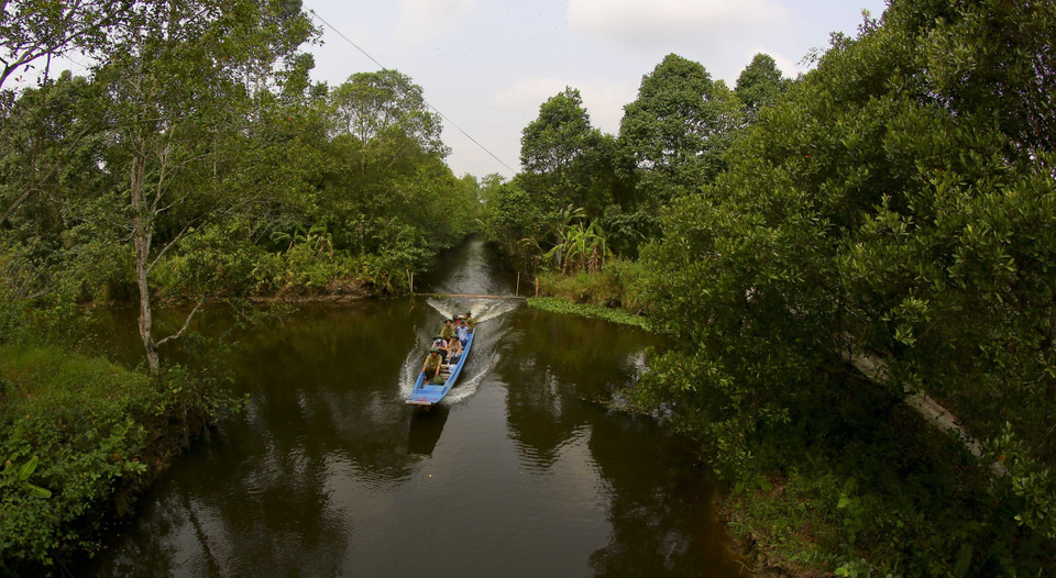 La reserva natural de Lung Ngoc Hoang muestra una belleza virgen (Fuente:VNA)