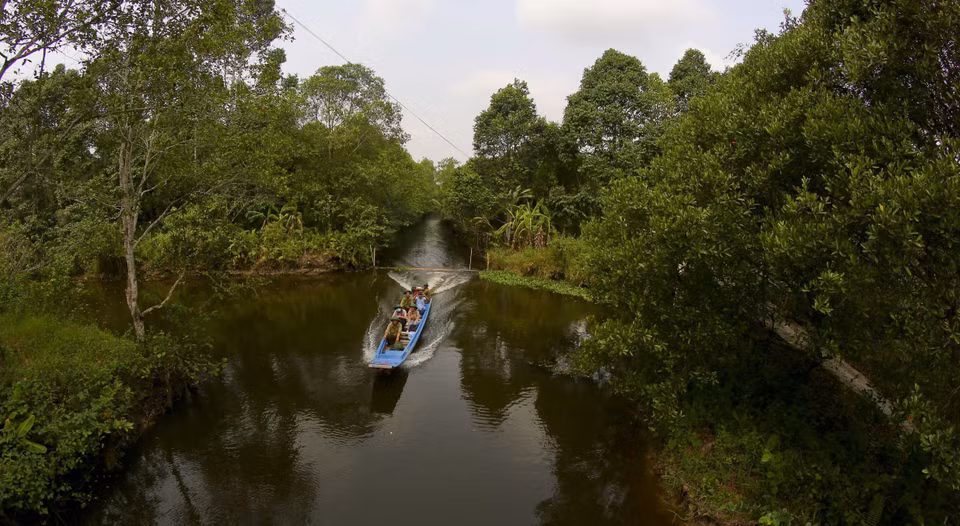 La reserva natural de Lung Ngoc Hoang muestra una belleza virgen (Fuente:VNA)