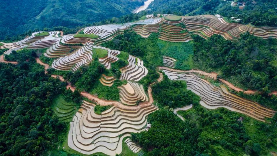 Las terrazas de arroz están llenas de agua como espejos que reflejan la tierra y el cielo. (Fuente:VNA)